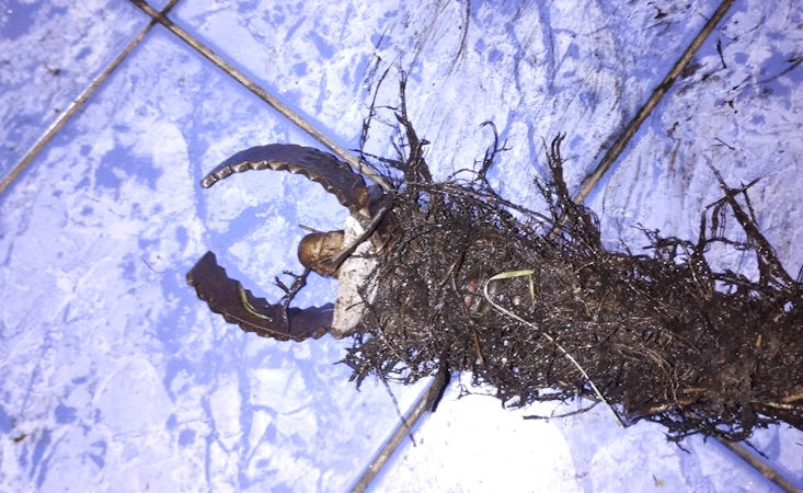 Jak udrożnić toaletę? Praktyczne porady hydraulika – skuteczne metody bez chemii